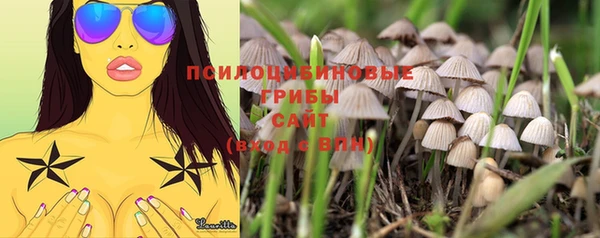 хмурый Зерноград